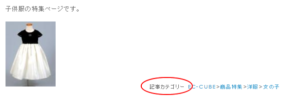 カテゴリタイトル